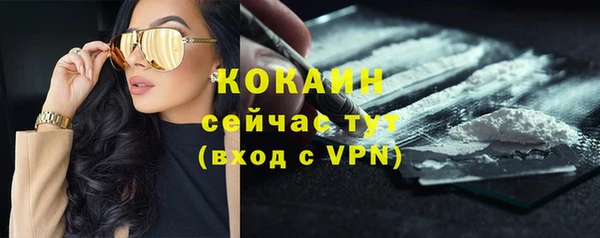 крисы Арсеньев