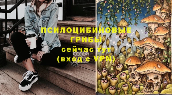 крисы Арсеньев