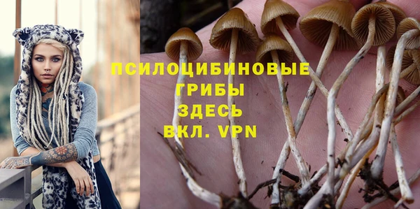 крисы Арсеньев