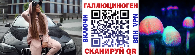 Купить где  Выборг  Галлюциногенные грибы Cubensis 